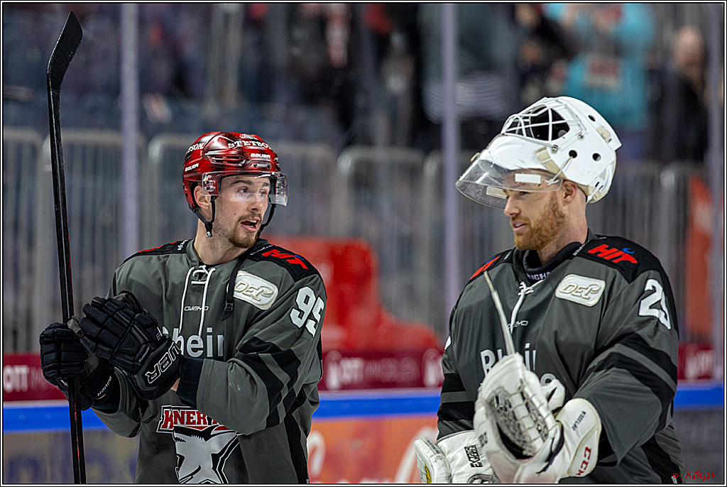 DEL; Koelner Haie - Augsburger Panther, 14.11.2018